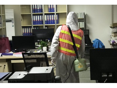 江門(mén)某公司辦公白蟻工程