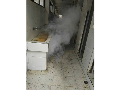 江門(mén)某工廠(chǎng)除蟑螂工程